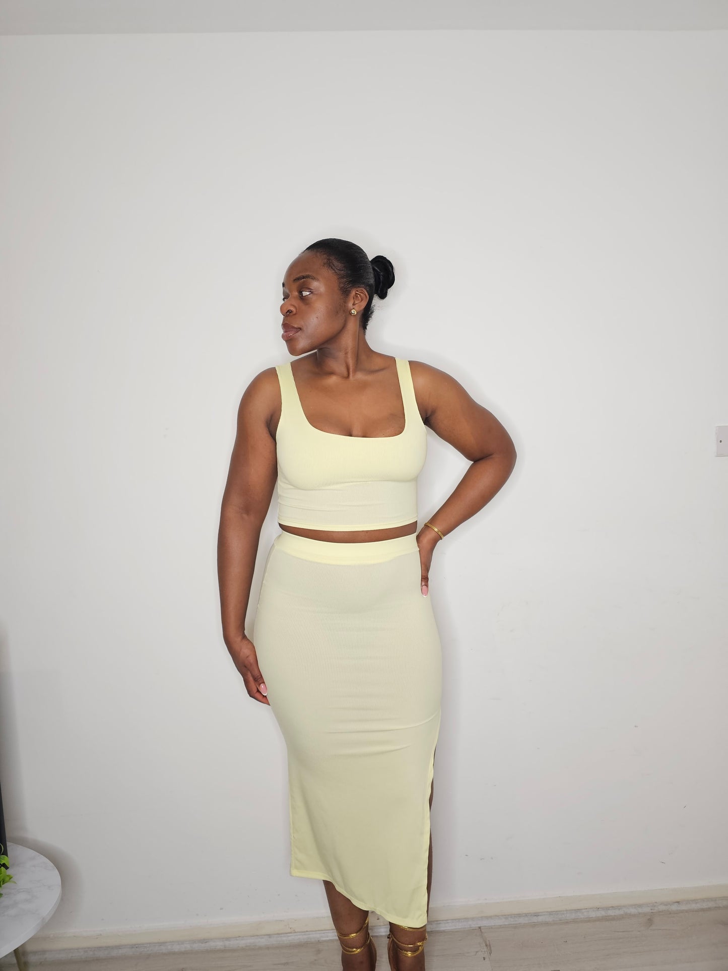 The Aaliya Two Piece Skirt and Top Set